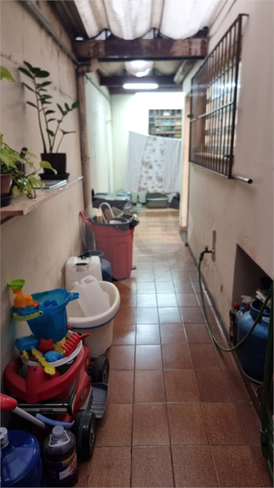 Foto REO1133437