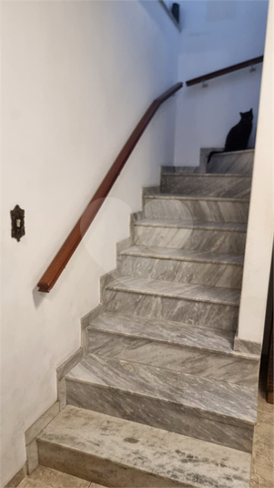 Foto REO1133437