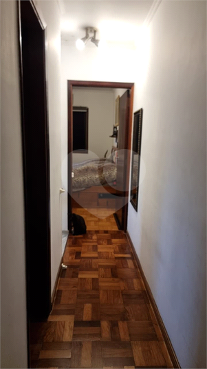Foto REO1133437