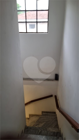 Foto REO1133437