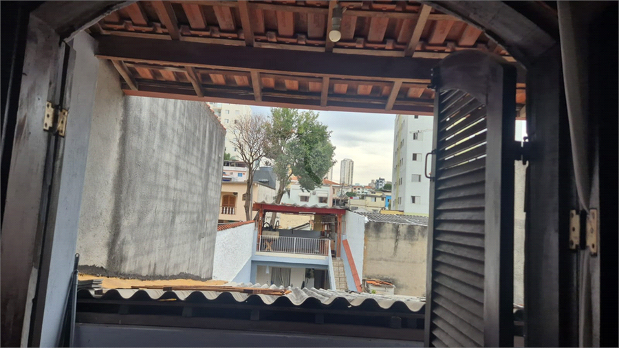 Foto REO1133445
