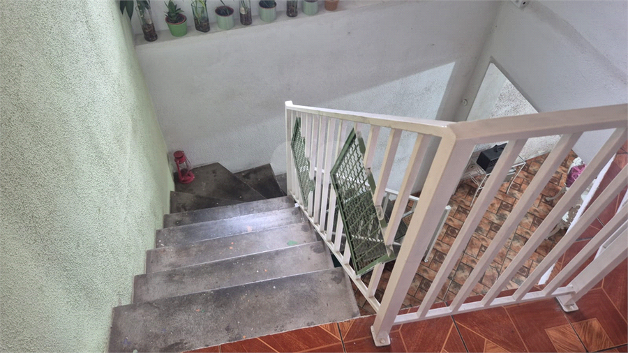Foto REO1133445