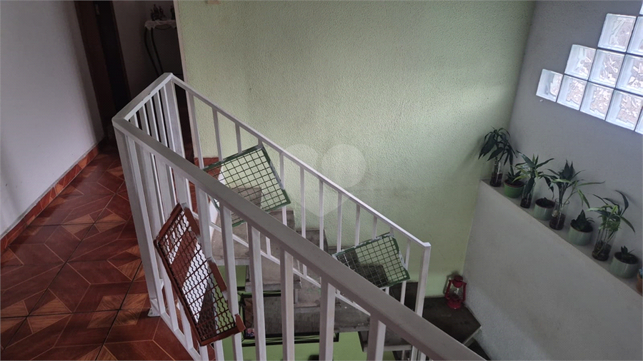 Foto REO1133445