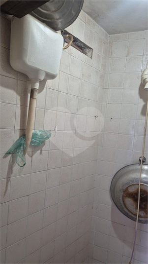 Foto REO1133445