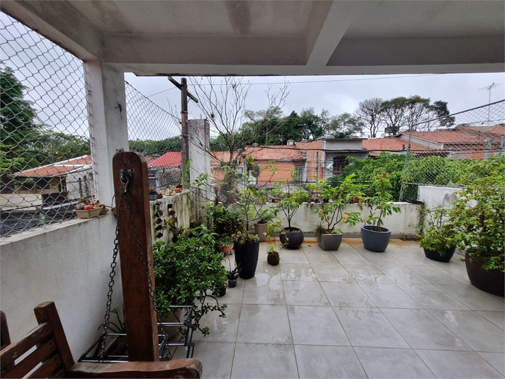Foto REO1133454