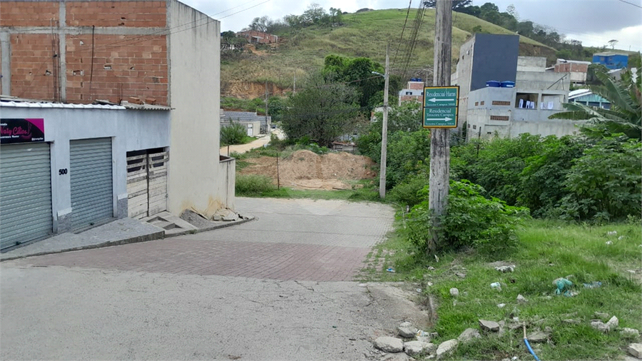 Foto REO1133460