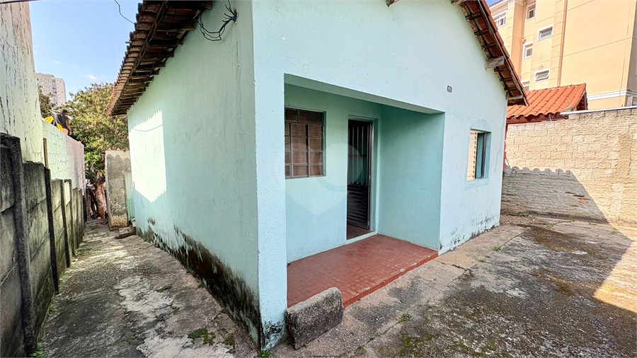 Foto REO1133462