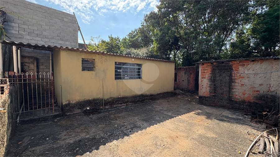 Foto REO1133462