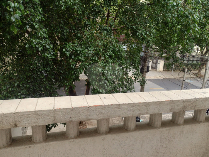 Foto REO1133471