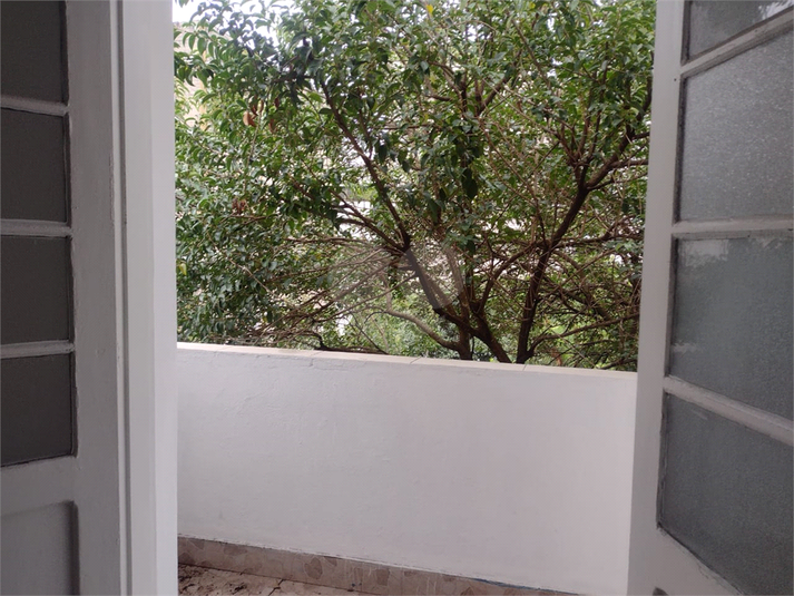 Foto REO1133471
