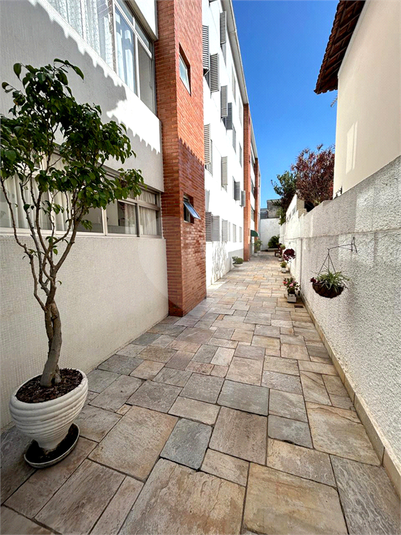 Foto REO1133477