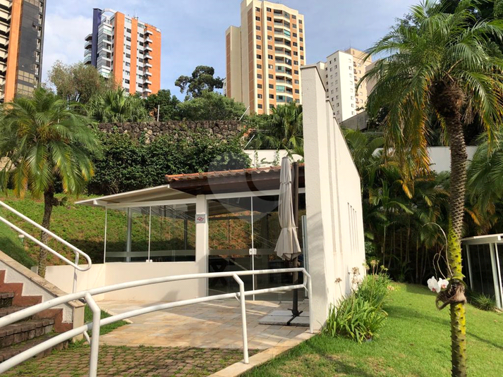 Foto REO1133482