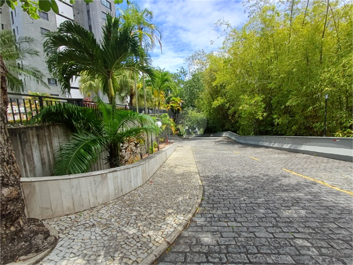 Foto REO1133483