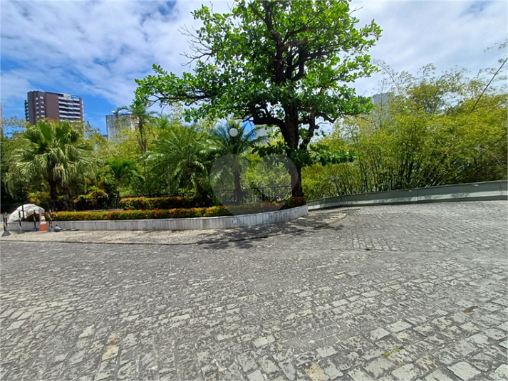 Foto REO1133483