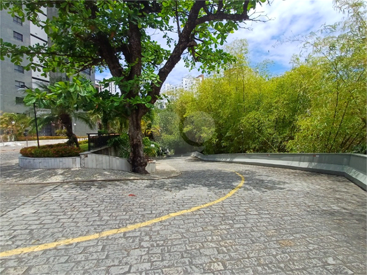 Foto REO1133483