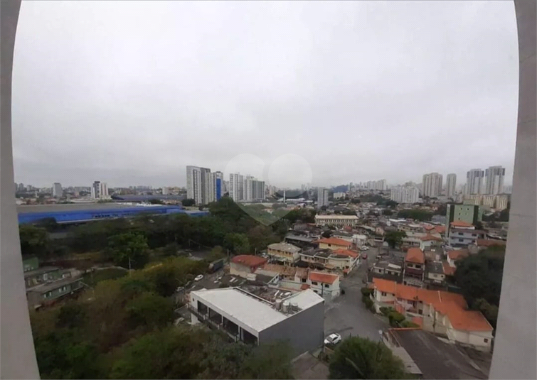Foto REO1133490