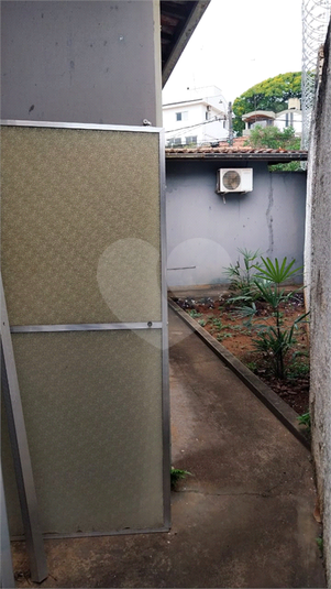 Foto REO1133492