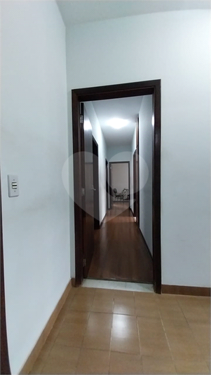 Foto REO1133492