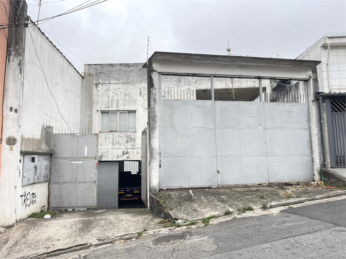 Foto REO1133508