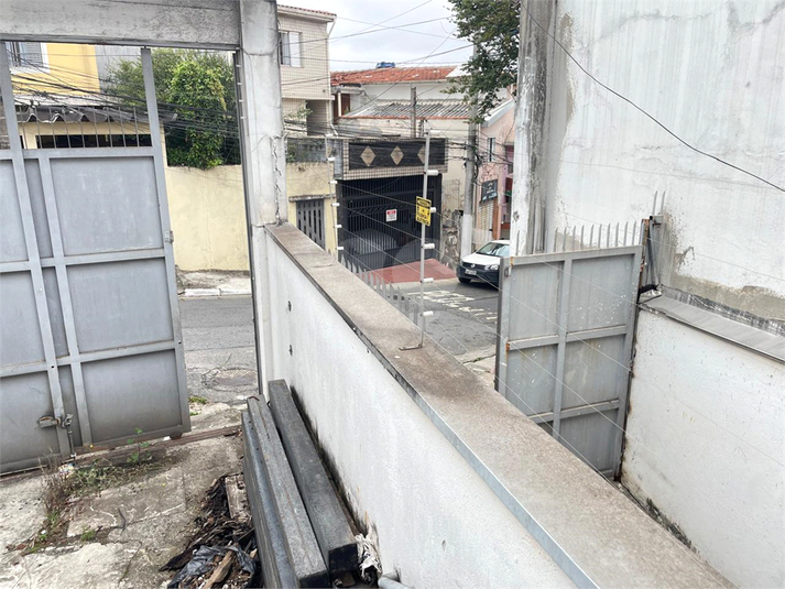 Foto REO1133508