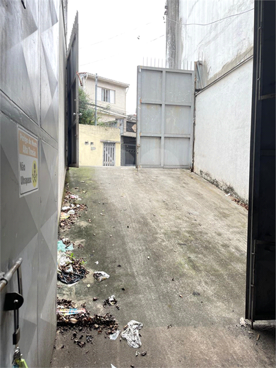 Foto REO1133508
