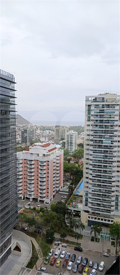 Foto REO1133515
