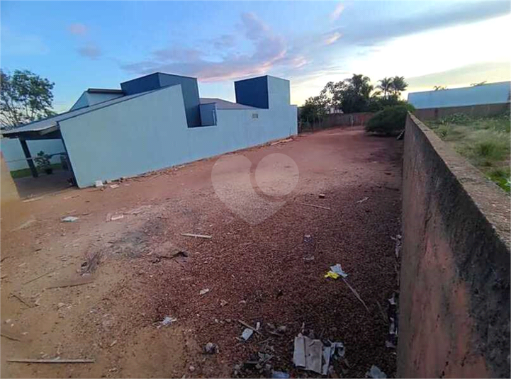 Foto REO1133524