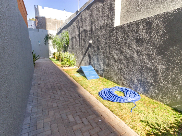Foto REO1133525
