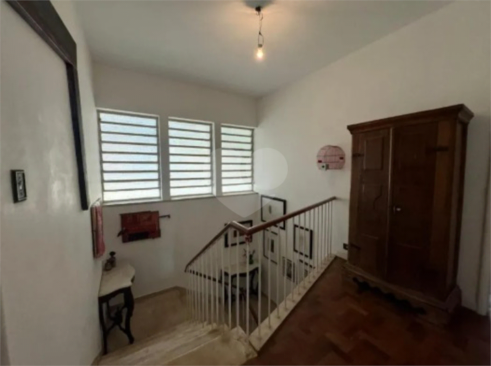 Foto REO1133532