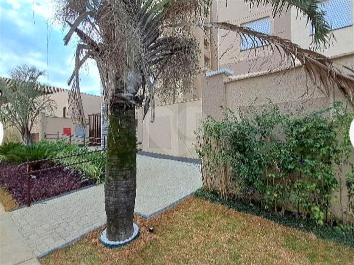 Foto REO1133538