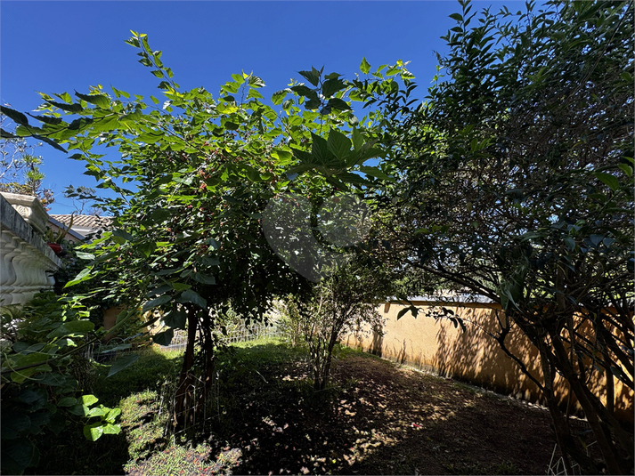 Foto REO1133552