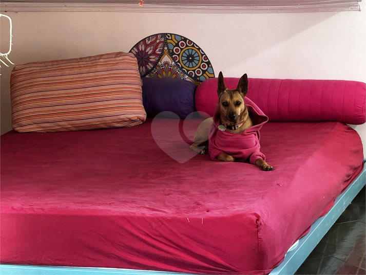 Foto REO1133552
