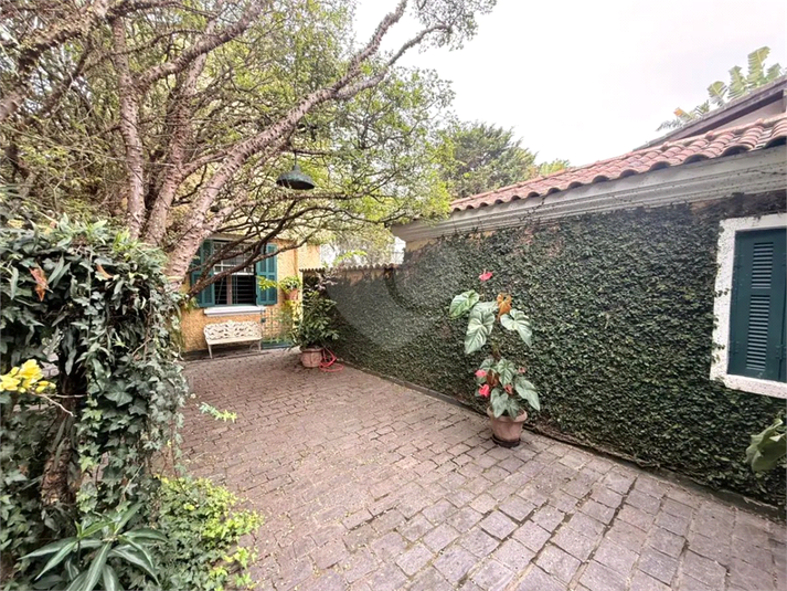 Foto REO1133557