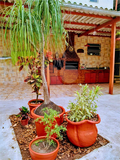 Foto REO1133566
