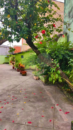 Foto REO1133566