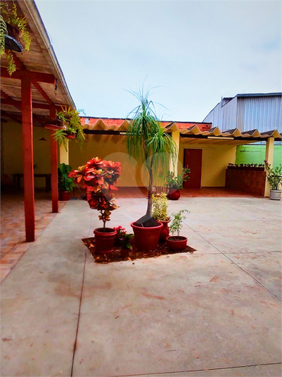 Foto REO1133566
