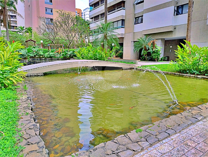 Foto REO1133567