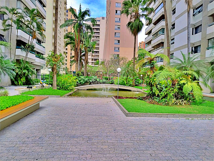 Foto REO1133567