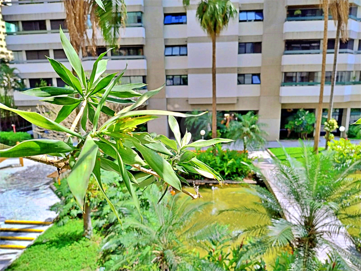 Foto REO1133567