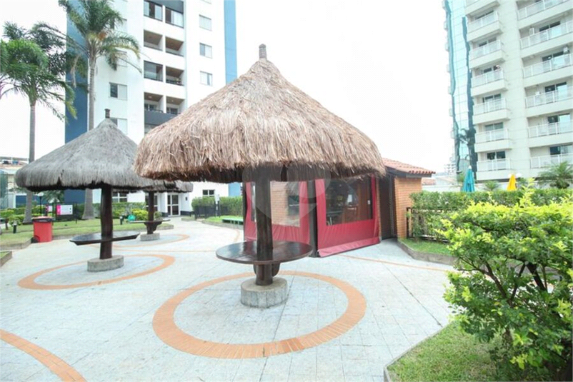 Foto REO1133574