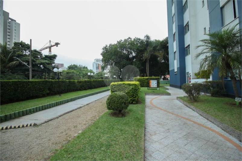 Foto REO1133574