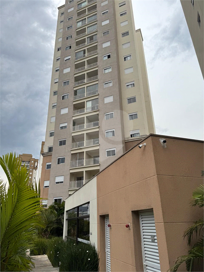 Foto REO1133584
