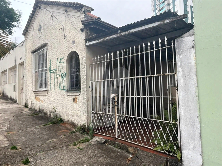 Foto REO1133607