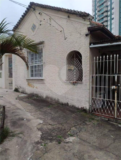 Foto REO1133607
