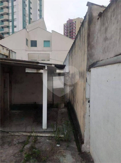 Foto REO1133607