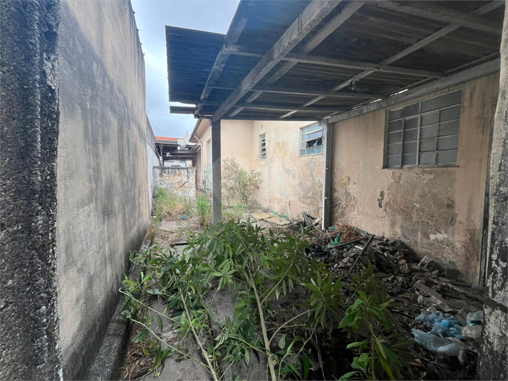 Foto REO1133607
