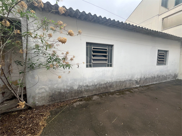 Foto REO1133607