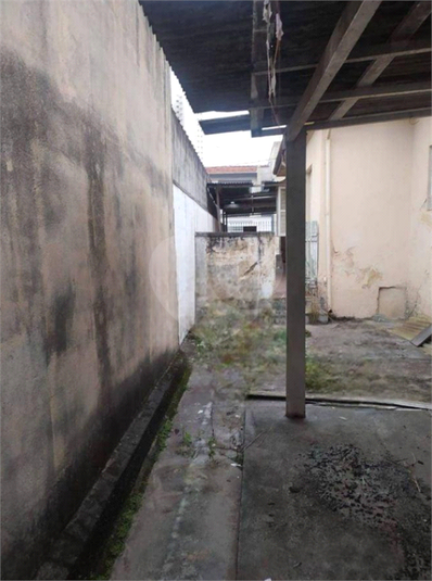 Foto REO1133607