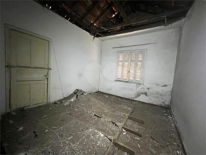 Foto REO1133607