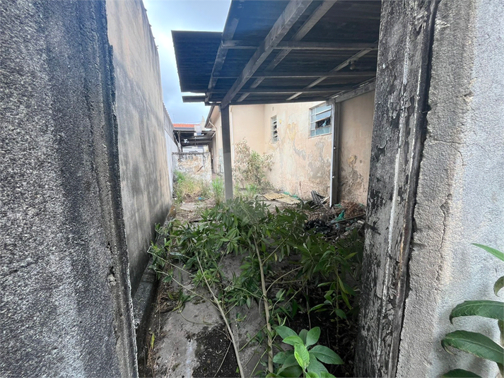 Foto REO1133607